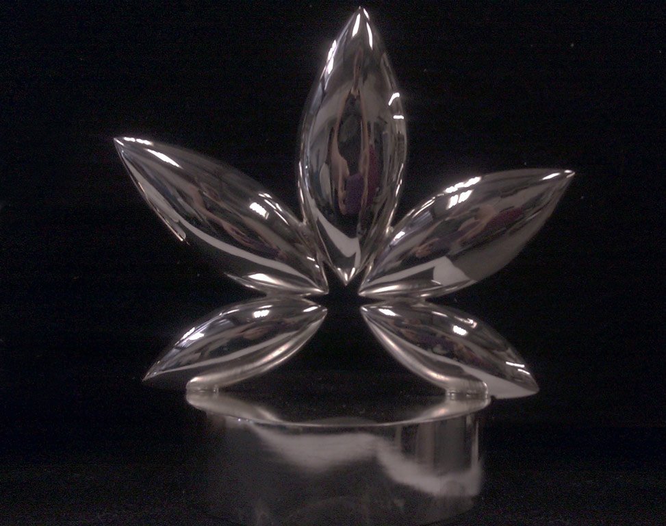 Sterling Silver 5 Petal Award